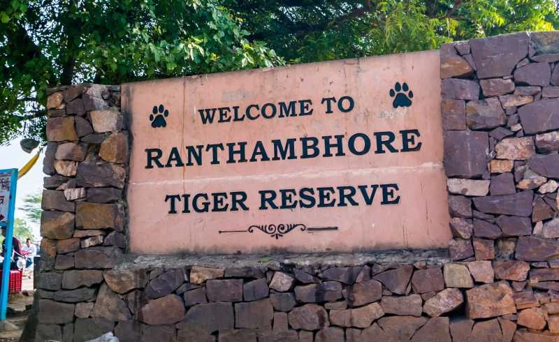 How to Go on a Jungle Safari in Ranthambore National Park