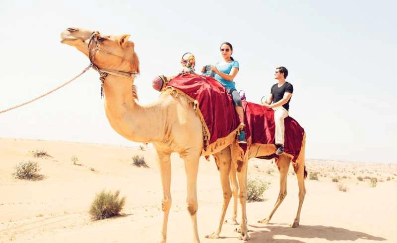 How to Plan a Camel Safari in Thar Desert (Jaisalmer)