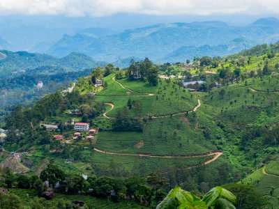 Munnar, Kerala