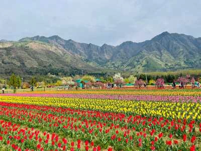Srinagar, Jammu & Kashmir