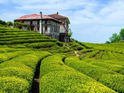 Ooty – The Queen of Hills