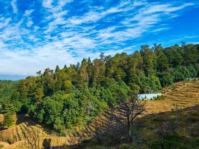 Ranikhet, Uttarakhand