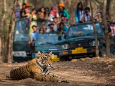 Ranthambore National Park, Rajasthan