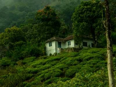 Wayanad, Kerala