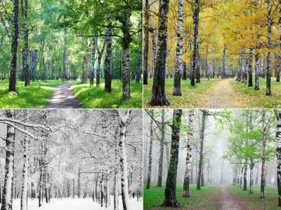 Best Season to Visit India At a Glance