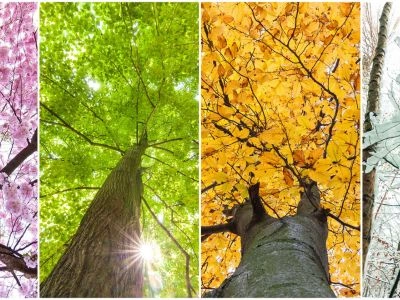 Best Time to Visit Mumbai Season-Wise Breakdown