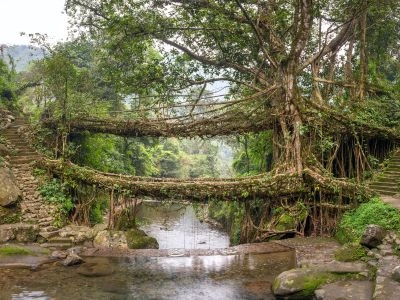 Cherrapunji (Sohra), Meghalaya