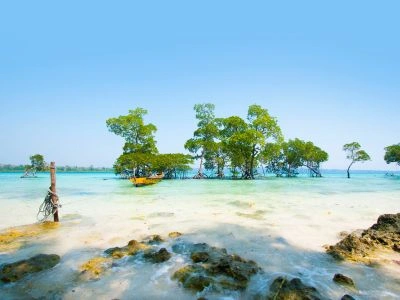 Havelock Island, Andaman & Nicobar