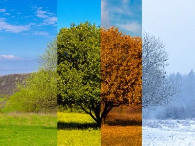 India’s Weather All Year Month-by-Month Breakdown