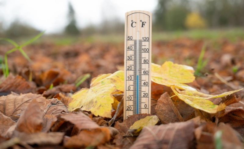 Is It Warm or Cold in India Climate, Seasons & Temperature Guide