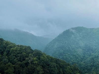 Silent Valley, Kerala