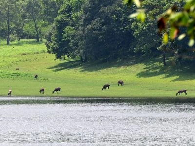 Thekkady, Kerala