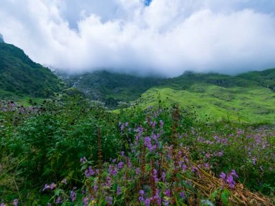 Valley of Flowers, Uttarakhand