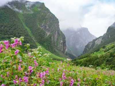 Valley of Flowers, Uttarakhand