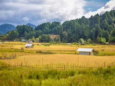 Ziro Valley, Arunachal Pradesh