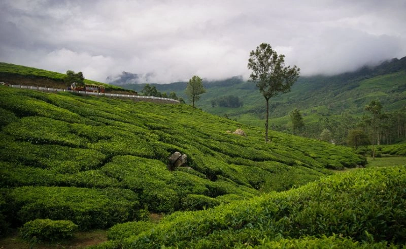 15 Best Places to Visit in July in India